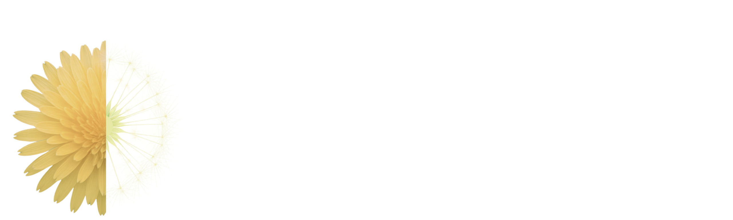 dandelion dreams publishing logo white letters