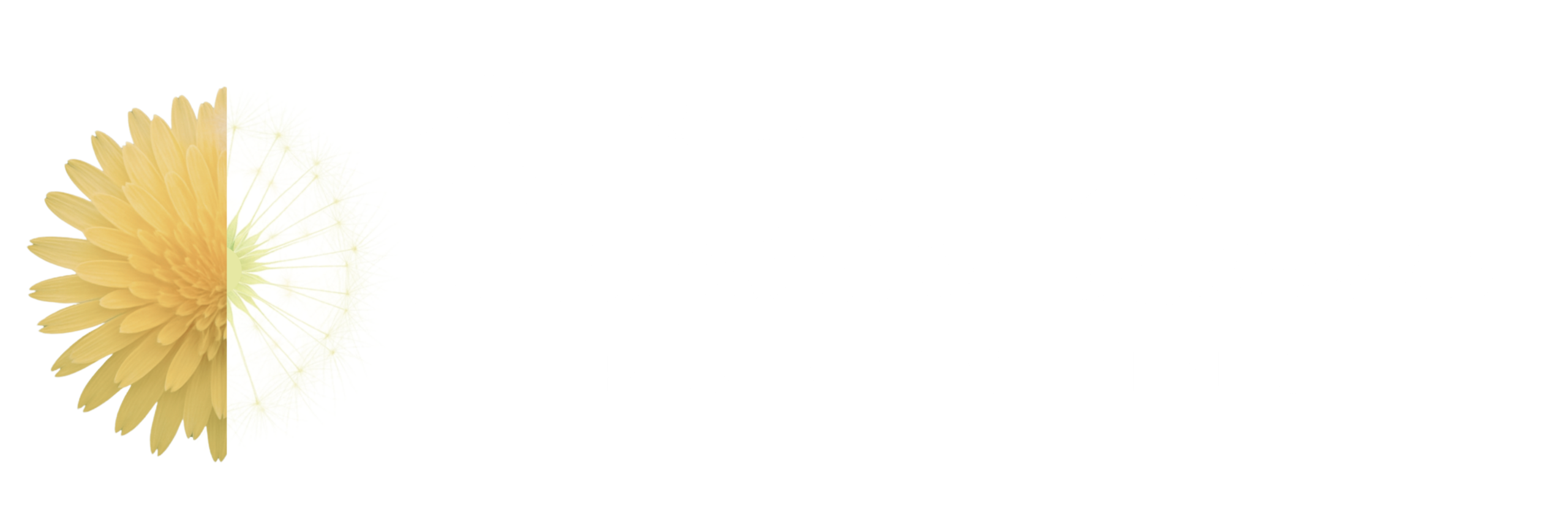dandelion dreams publishing logo white letters