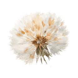 dandelion audiobook set