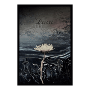 single dandelion flower with dark background gray-washed color